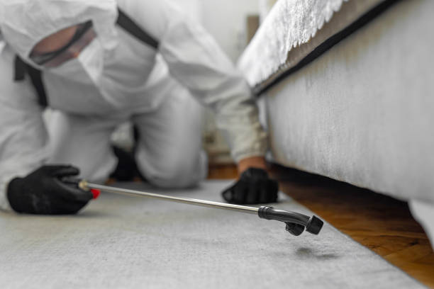Professional Termite Control technician working in Barbourmeade, KY