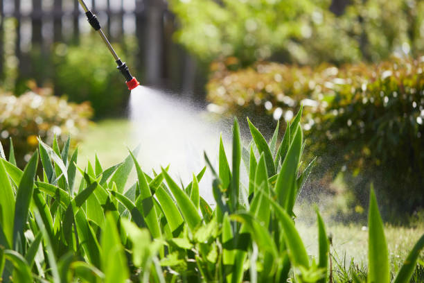 24/7 Emergency Termite Control experts in Barbourmeade, KY